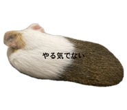 844831937