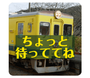 844832213