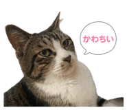 844837690