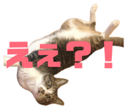 844837693