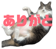 844837695