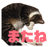 844837696