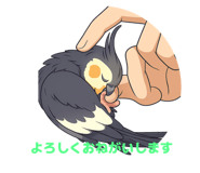 844838065