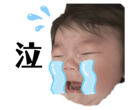 844838185