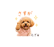 844838417