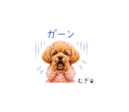 844838427