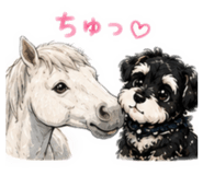 844838507