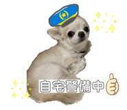 844838665