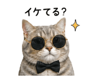 844839447