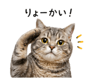 844839468