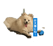 844839613
