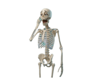 844840806