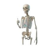 844840808