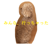 844842340