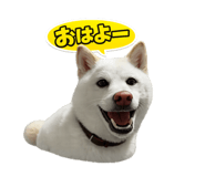 844843433