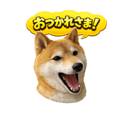 844843434