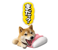 844843436
