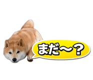 844843437