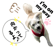 844844059