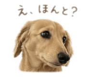 844844188