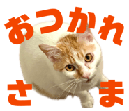 844845125