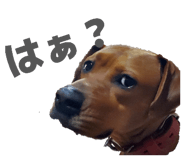 844845582