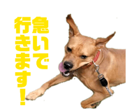 844845599