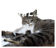 844845606