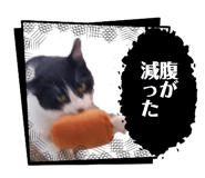 844845614