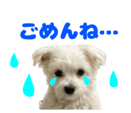 844845754