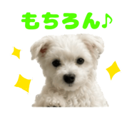 844845762