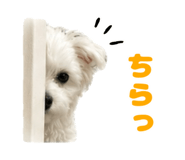 844845767