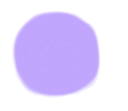 844845806