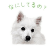 844845859