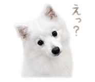 844845868