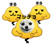 844847131