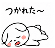 844847216