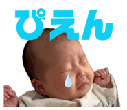 844847337