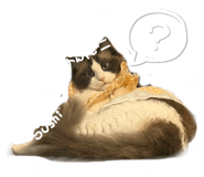 844847397