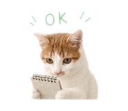 844848058