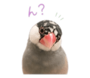 844848065