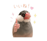 844848072
