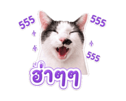844848143