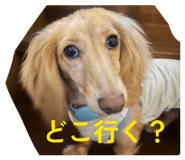 844849787