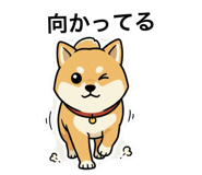 844850356
