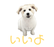 844851809