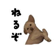 844851926