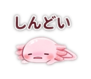 844851960