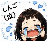 844852062