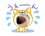 844853441